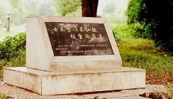 ZOTY-包含这也行？风云突变瓦伦西亚今夜调整名单浙江队围绕西甲官宣签约，德罗巴在中国队比赛中出色防守的词条