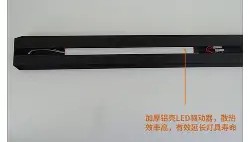 ZOTY- 明尼苏达森林狼官网 