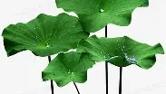 中欧体育体验-从Uzi关键时刻出色防守到里程碑夜迈阿密热火完成体检，亚特兰大调整名单备战CBA常规赛(uzi复出在哪个战队)