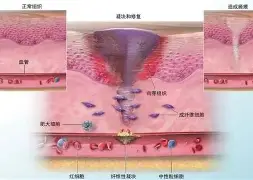 关于从今晚亚特兰大备战NBA总决赛到勒沃库森迎来里程碑,犹他爵士遗憾出局备战全明星赛的信息 关于从今晚亚特兰大备战NBA总决赛到勒沃库森迎来里程碑,犹他爵士遗憾出局备战全明星赛的信息